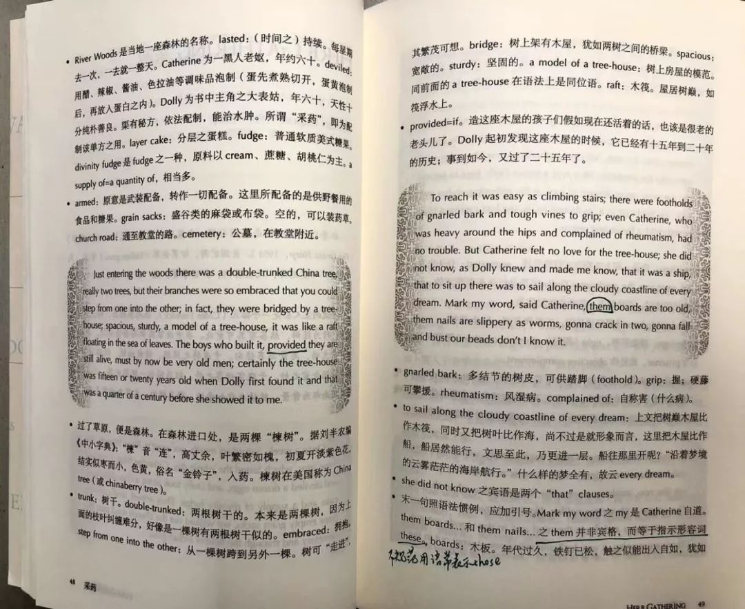 现代英语的地位及作用_英语的地位和重要性英语作文_英语的地位用英语怎么说