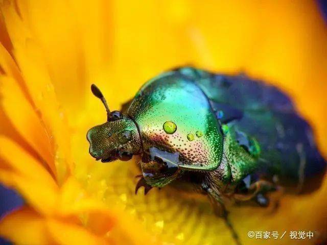 简写英语介词作用的例子_简写英语介词作用大吗_英语介词的作用及简写