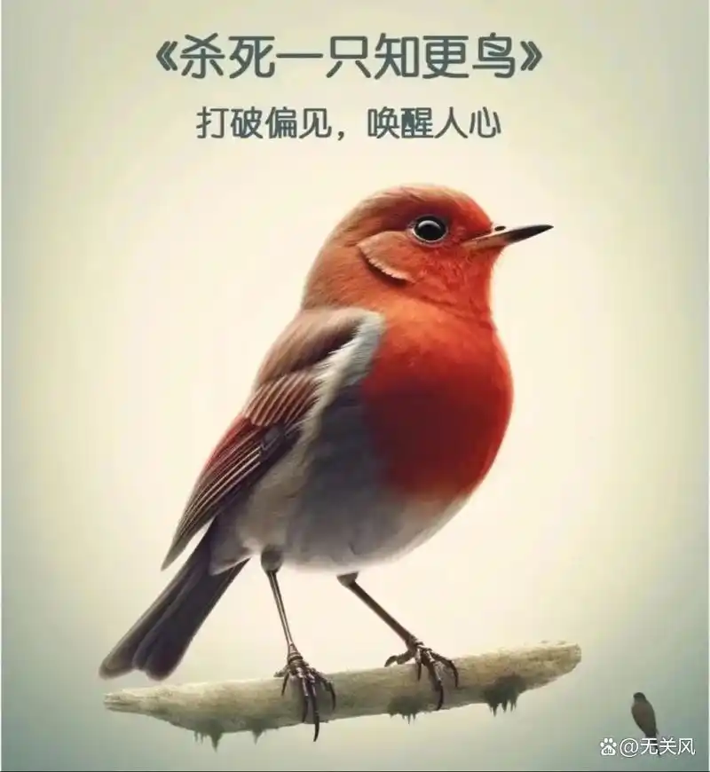 小学适合读的英语书籍_英语书籍推荐书目小学_推荐小学英语的书籍